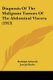 Diagnosis Of The Malignant Tumors Of The Abdominal Viscera (1913) (Paperback): Rudolph Schmidt