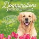 Dogspirations (Hardcover): Willow Creek Press