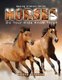 HORSES Do Your Kids Know This? - A Children's Picture Book (Paperback): Tanya Turner
