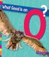 What Good Is an O? (Hardcover): Marie Powell