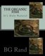 The Organic Fish - Health Fish Live in Healthy Water (Paperback): Brenda G Rand