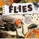 Flies (Hardcover): John Wood