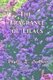 The Fragrance of Lilacs (Paperback): Phyllis Lambert