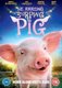 The Amazing Burping Pig (DVD): Drake Bell, Joey Lawrence, Jennifer Taylor, Lindsey Blanchard, Jonathan Lipnicki, Amber Frank,...