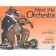 Meet the Orchestra (Paperback): Ann Hayes