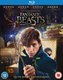 Fantastic Beasts And Where To Find Them (Blu-ray disc): Eddie Redmayne