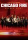 Chicago Fire - Season 8 (DVD): Jesse Spencer, Taylor Kinney