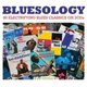Bluesology (CD): Various Artists
