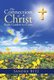 The Connection of Christ from Garden to Cross (Hardcover): Sandra Betz