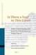 Is There a Text in this Cave? Studies in the Textuality of the Dead Sea Scrolls in Honour of George J. Brooke (Hardcover):...