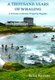 A Thousand Years of Whaling - A Faroese Common Property Regime (Paperback): Sean P. Kerins