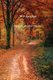 We As One (Paperback): Bradley Thomas