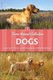Dogs (Paperback): M/N Martinez