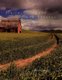 Digital Outdoor Photography (Paperback): Stan Trzoniec