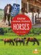Horses (Hardcover): Amy Culliford