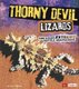 Thorny Devil Lizards and Other Extreme Reptile Adaptations (Extreme Adaptations) (Paperback): Lisa J. Amstutz
