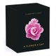 Flamboyant Flowers Perpetual Calendar (Calendar): Nicolas Meriel