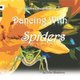 Dancing with Spiders (Paperback): Peter Blueberry