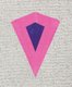 Geta Bratescu: Game of Forms (Paperback): Geta Bretescu