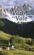 A Vila E O Vale (Portuguese, Paperback): R S Santos