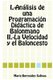 Analisis De Una Programacion Didactica De Balonmano La Velocidad Y El Baloncesto (Spanish, Paperback): Maria Bermudez Salinas