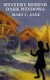 Mystery Behind Dark Windows (Paperback): Mary C Jane