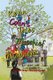 Kevin & Colin's Tales of Mischief & Mayhem (Hardcover): Robert Prior-Wandesforde