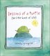 Lessons of a Turtle - (The Little Book of Life) (Hardcover): Sandy Gingras