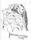 A Bunch of Stories in Which I Am Killed (Paperback): Mick Malone