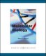 Molecular Biology (Paperback, 4th Revised edition): Robert Weaver