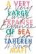 A Very Large Expanse of Sea (Hardcover): Tahereh Mafi