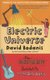 Electric Universe - How Electricity Switched on the Modern World (Paperback, New ed): David Bodanis