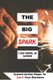 The Big Spark - Instant Action Steps To Spark Your Business (Paperback): T Ray Greer Jr