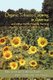 Organic Tobacco Growing in America and Other Earth-Friendly Farming (Paperback, New): Mike Little, Fielding Daniel, Mark Smith