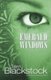 Emerald Windows (Paperback): Terri Blackstock