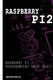 Raspberry Pi 2 - Raspberry Pi 2 Programming Made Easy (Paperback): Solis Tech