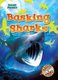 Basking Sharks (Hardcover): Rebecca Pettiford