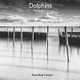 Dolphins - Volume 4 (Paperback): Hannibal Height