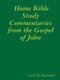 Home Bible Study Commentaries from the Gospel of John (Paperback): Larry D Alexander