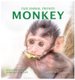 Monkey (Hardcover): Katesalin Pagkaihang
