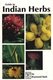 Guide to Indigenous Herbs - of North America (Paperback, 3 Rev Ed): Ray Stark