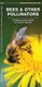 Bees & Other Pollinators - A Folding Pocket Guide to the Status of Familiar Species (Pamphlet): James Kavanagh, Waterford Press