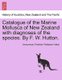 Catalogue of the Marine Mollusca of New Zealand with Diagnoses of the Species. by F. W. Hutton. (Paperback): Anonymous,...