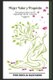 Mujer Valor y Proposito - Una Pieza Clave en el Engranaje de la Creacion (Spanish, Paperback): Sonia Noel