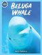 Beluga Whale Activity Workbook For Kids! (Paperback): Beth Costanzo