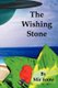 The Wishing Stone - The Chronicles of Evrion (Paperback): Mir Foote
