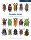 Australian Beetles Volume 1 - Morphology, Classification and Keys (Hardcover): John Lawrence, Adam Slipinski