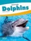 Animals: Dolphins (Hardcover): Nick Rebman