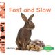 Fast and Slow (Hardcover): Julie Murray