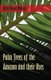 Palm Trees of the Amazon and their Uses (Paperback): Alfred Russel Wallace